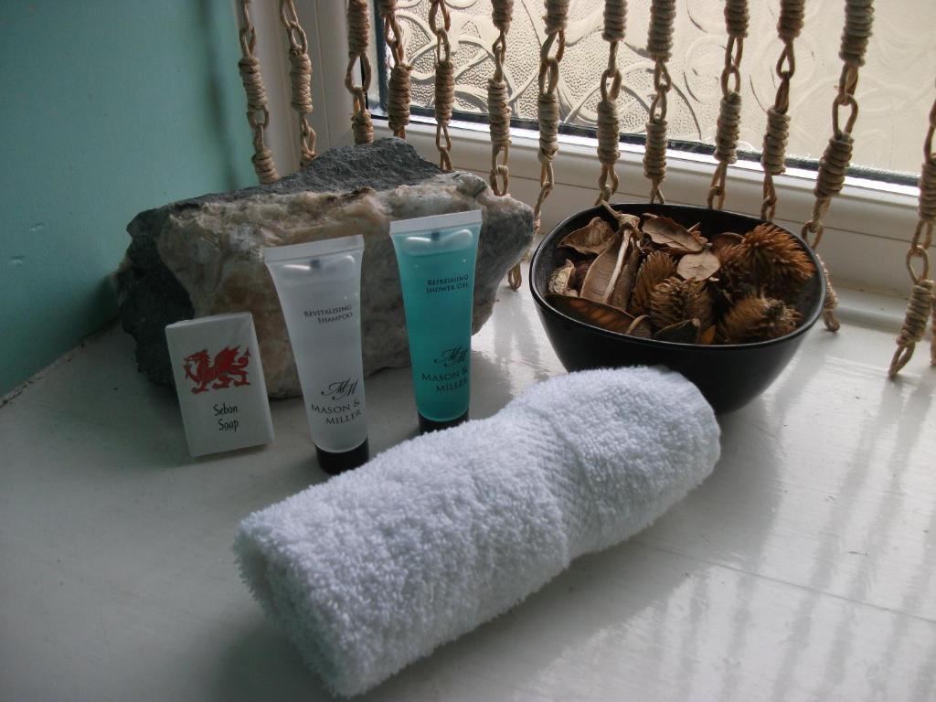Bryn Llewelyn Bed & Breakfast Betws-y-Coed Phòng bức ảnh