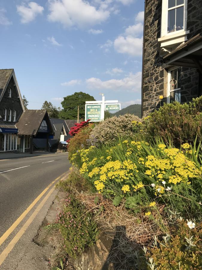 Bryn Llewelyn Bed & Breakfast Betws-y-Coed Ngoại thất bức ảnh
